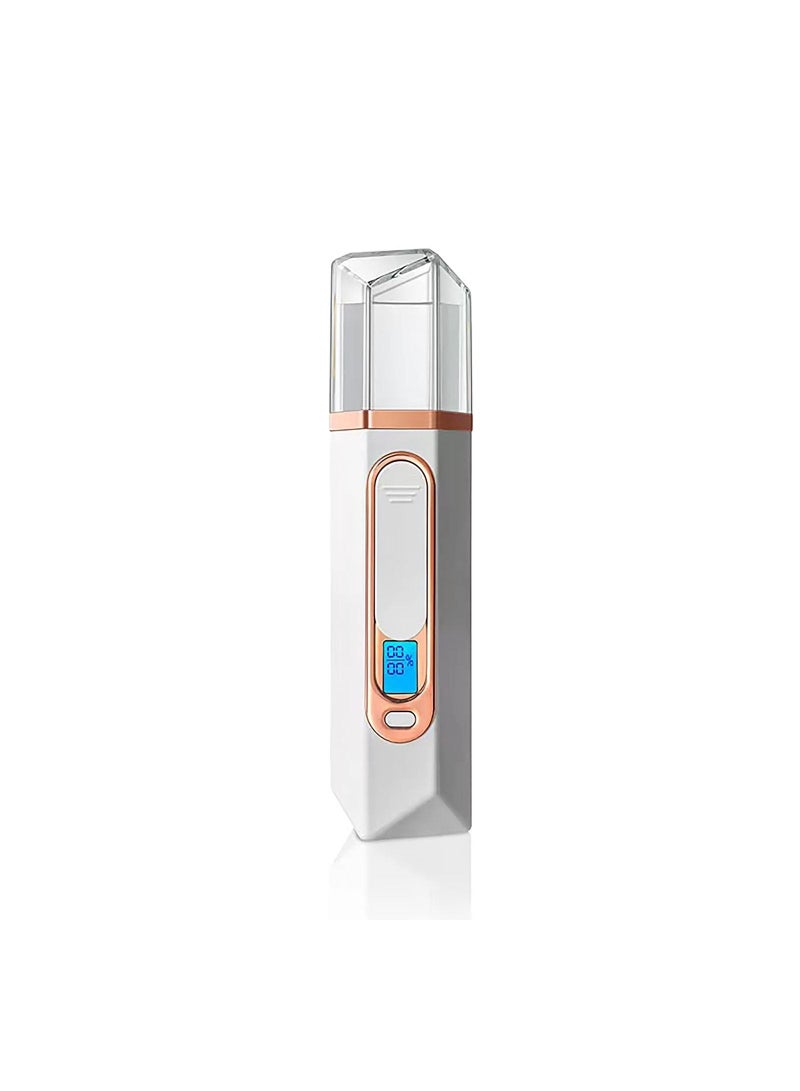 Nano Facial Mister Mist Sprayer Spray Portable Mini Steamer with Skin Analyzer Moisture Tester Visual Water Tank Usb Rechargeable for Face Moisturizing