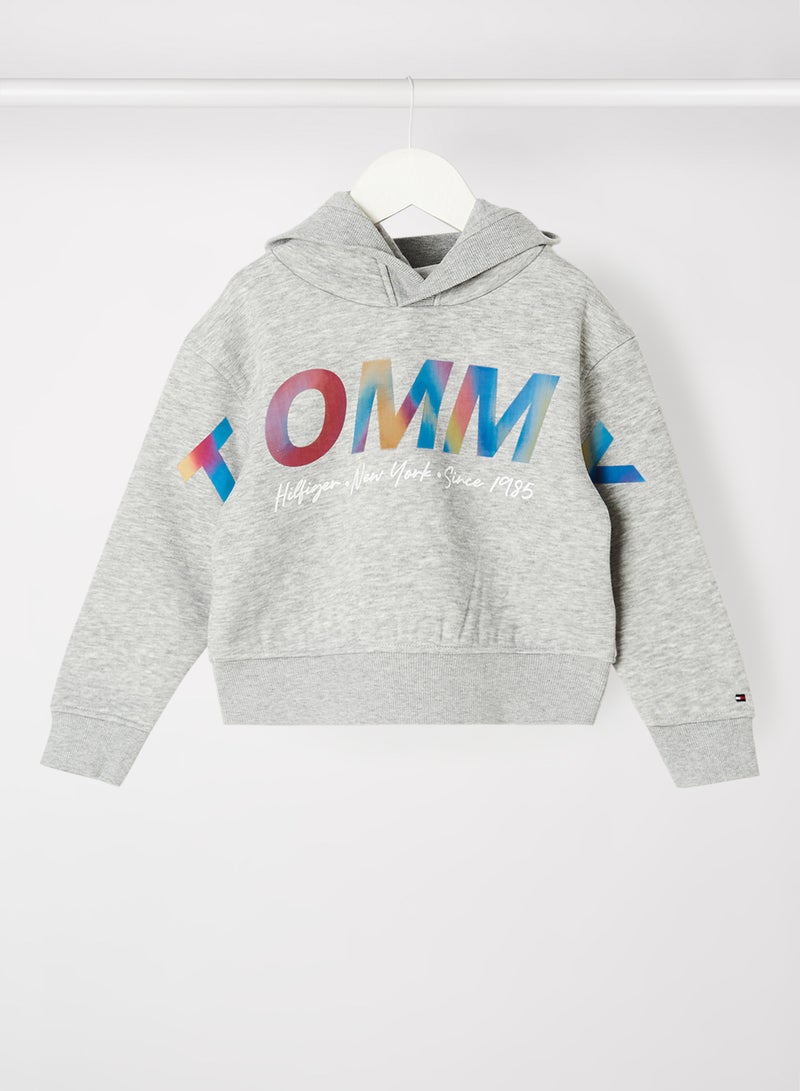 Kids/Teen Metallic Logo Hoodie Light Grey Heather