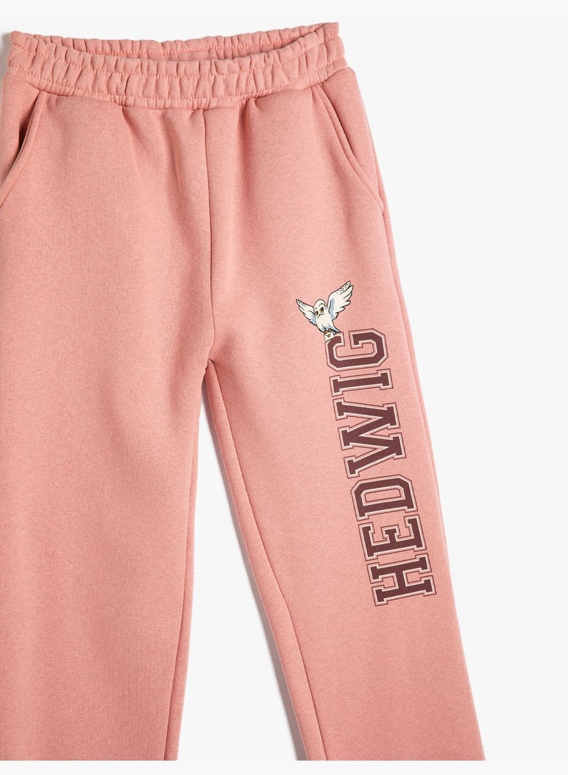 Harry Potter Jogger Sweatpants Licensed Brushed Interior