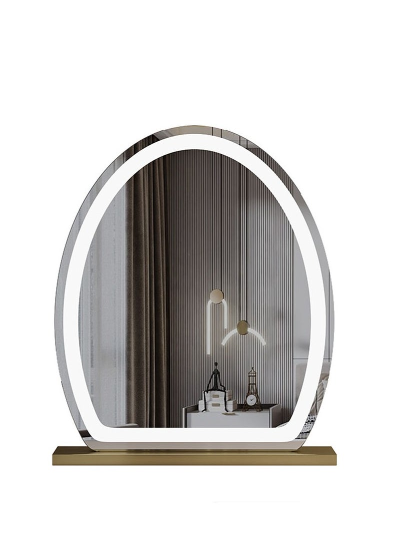 40*50 CM Large Vanity Mirror with Lights, Round LED Makeup Mirror, Light Up Mirror for Bedroom Tabletop, Smart Touch Control 3 Colors Dimmable, 350° Rotation