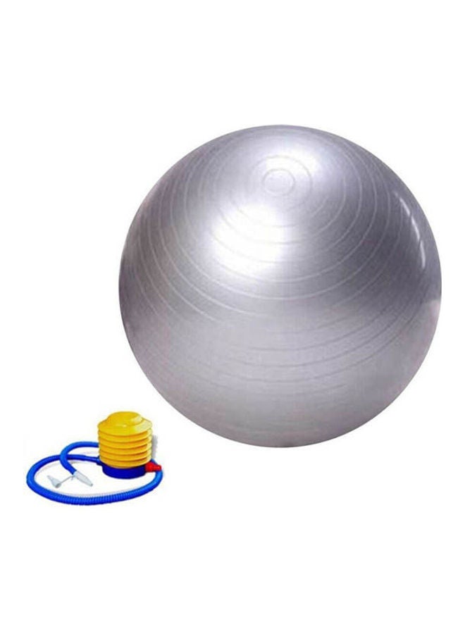 Exercise Gym Yoga Swiss  Ball Fitness Ab Abdominal Sport Weight Loss 65cm