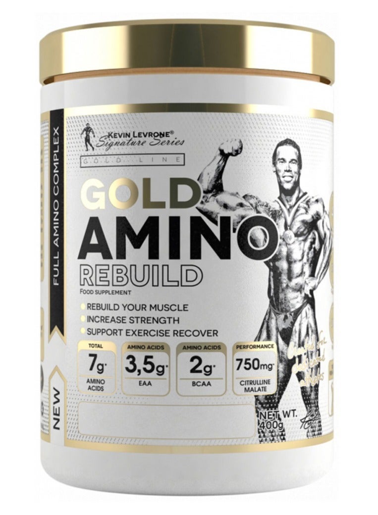 Gold Amino Rebuild 400g Forest Fruit Flavor