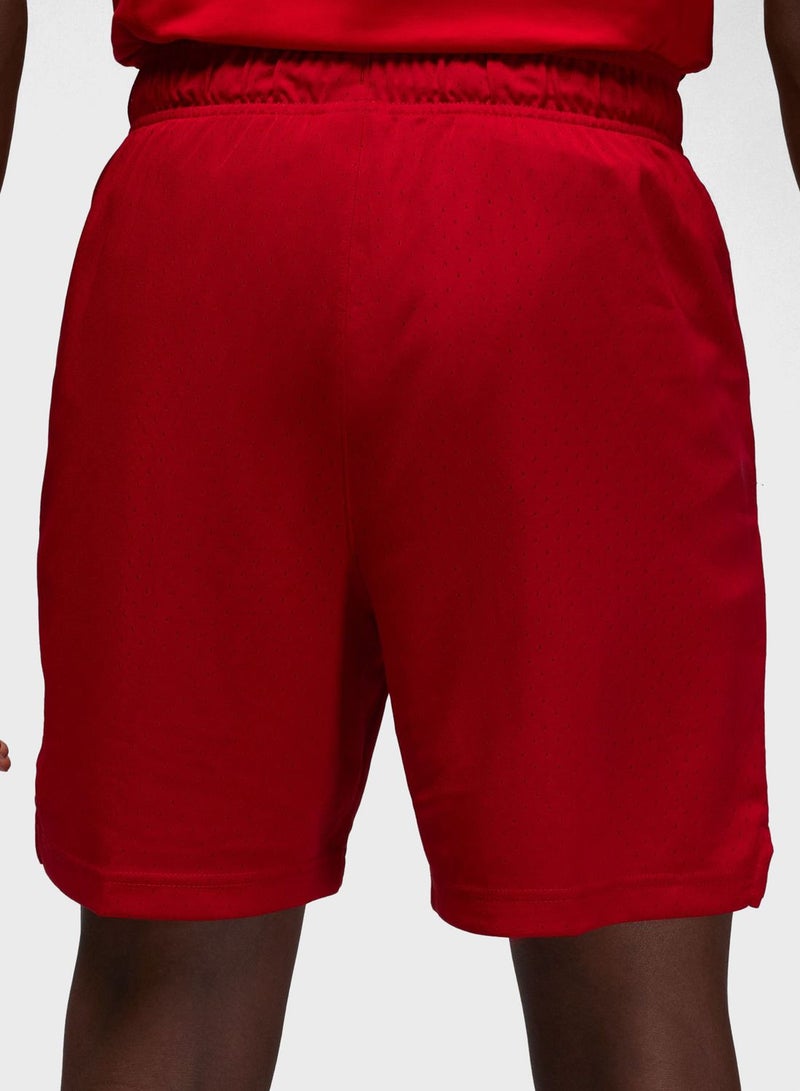 Jordan Dri-Fit Mesh Shorts