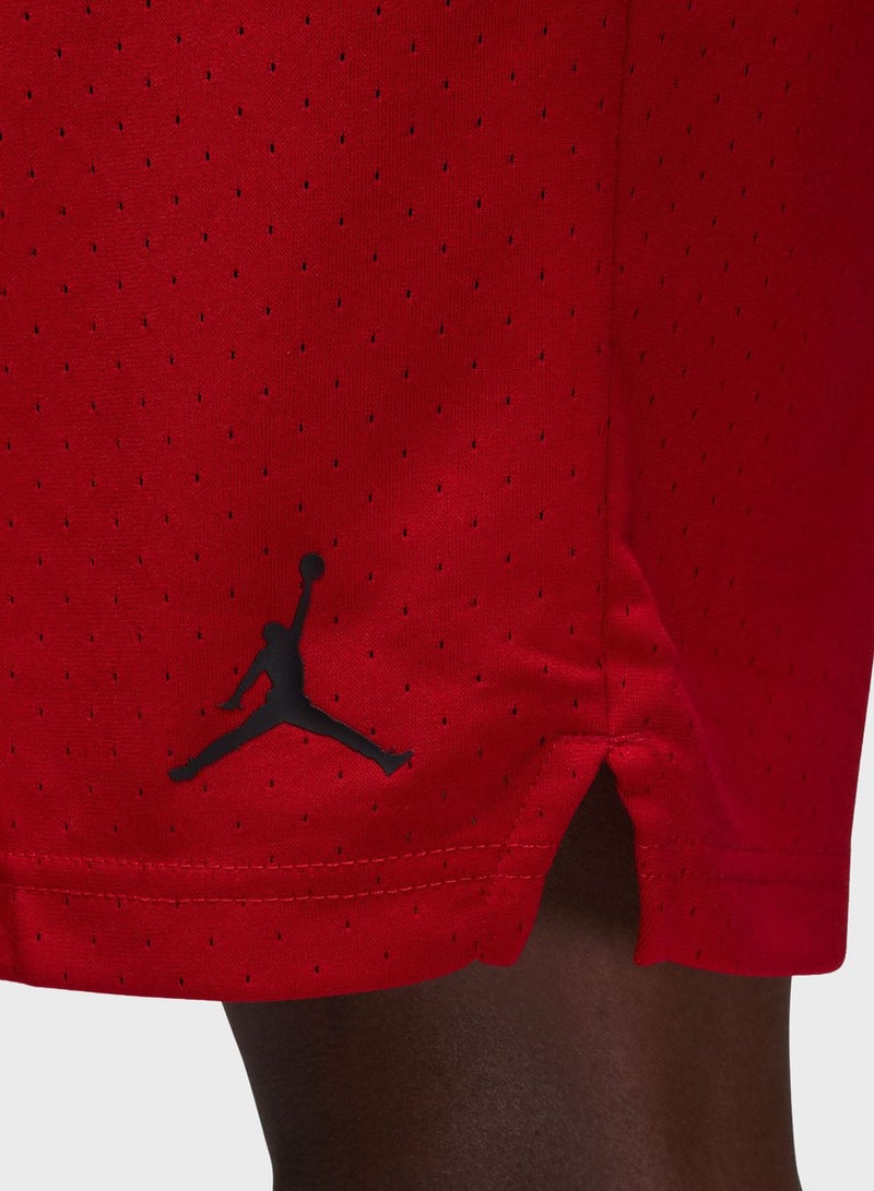 Jordan Dri-Fit Mesh Shorts