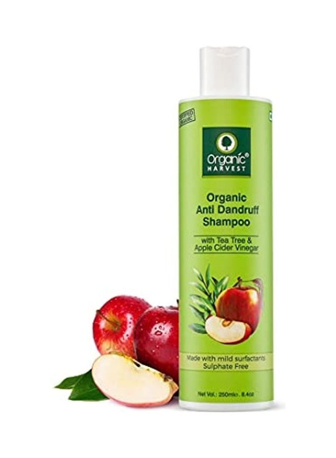 Anti Dandruff Shampoo Clear 250ml