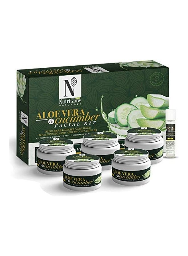 Natural's Aloe Vera & Cucumber Facial Kit With Hyaluronic Acid and Pro Vitamin B5 Green 3.3X9.4X7.8inch