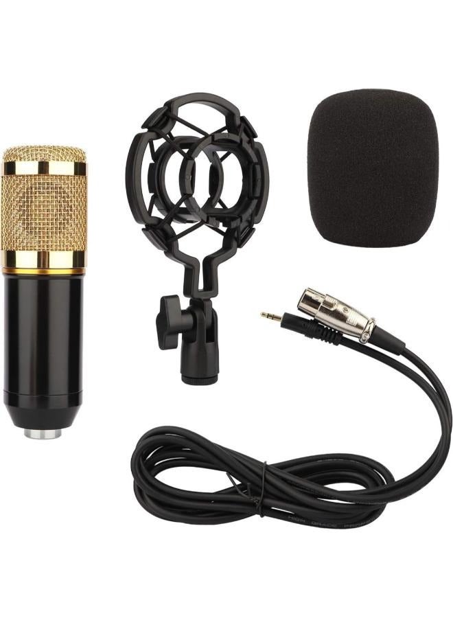 Condenser Microphone with XLR Cable Shock Mount Puff and U Shape Audio Splitter 3.5mm Jack Condenser Mic for Laptop PC Studio Recording Karaoke Singing Dubbing