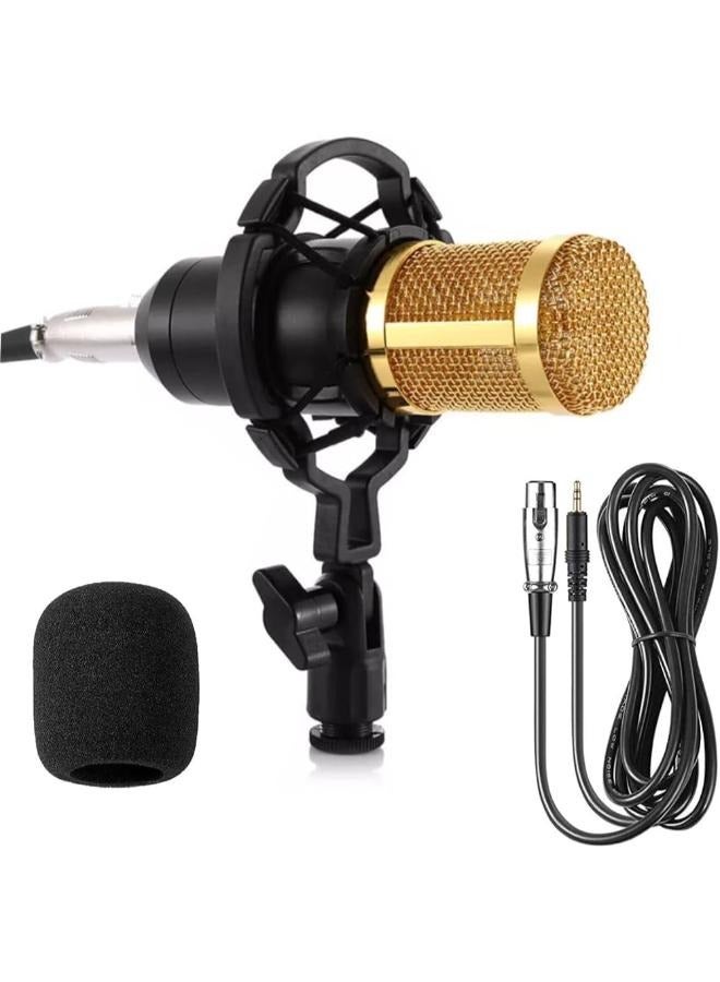 Uni-directional Condenser Microphone Excellent Reproduction of Voice and Music Professional