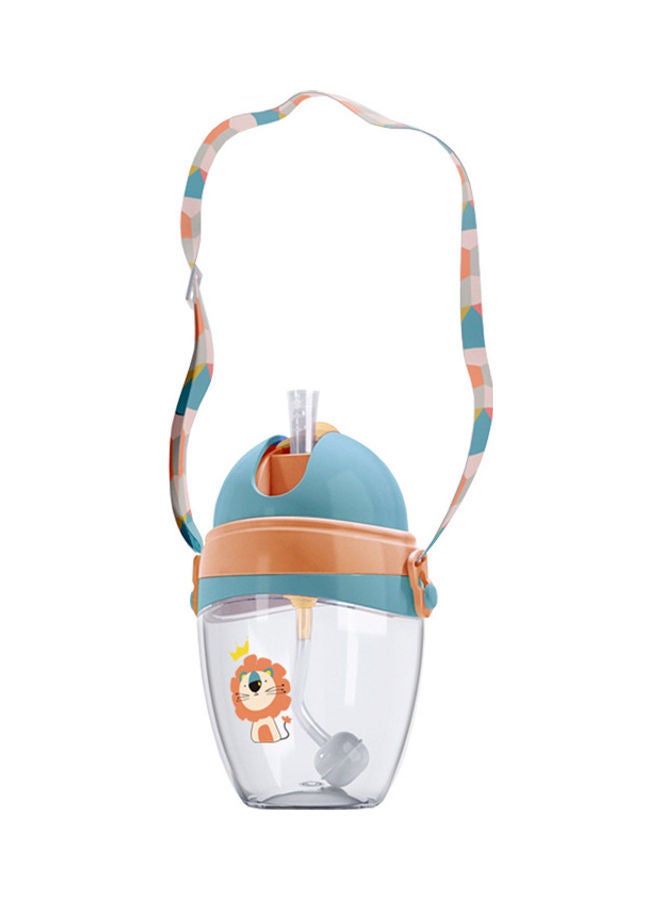 Leak Proof Water Bottle With Straw