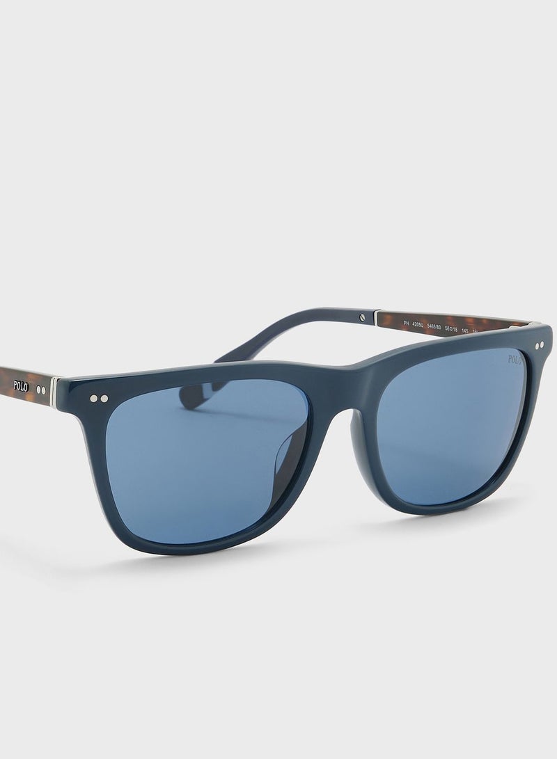 0Ph4205U Wayfarers Sunglasses