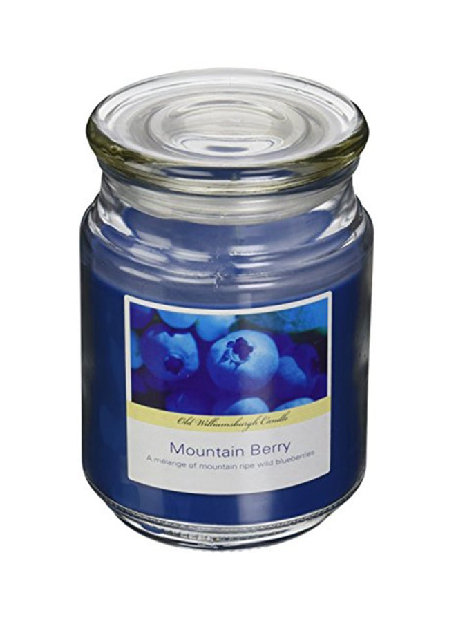 Old Williamsburgh Mountain Berry Candle