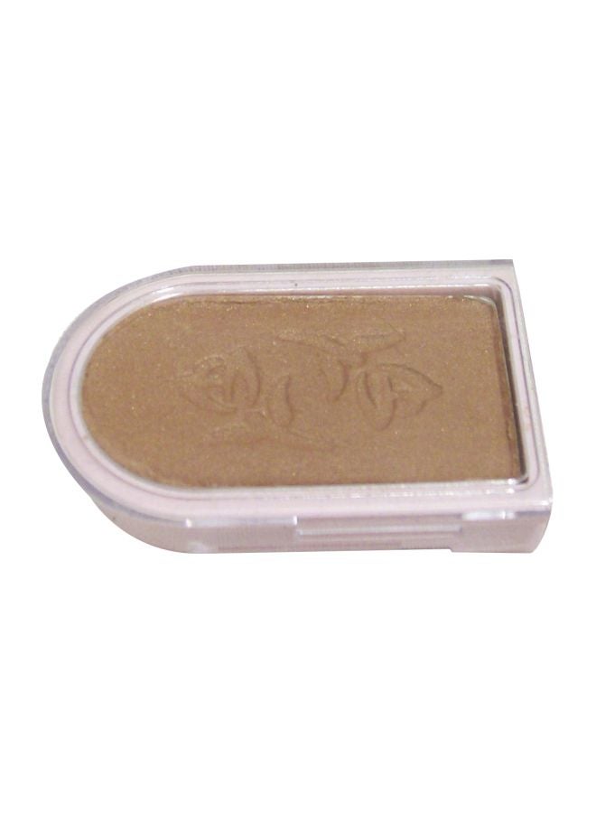 Powder Perfect Eye Color Shadow Gingerspice 5958
