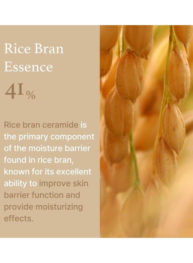 Rice Cream 50ml