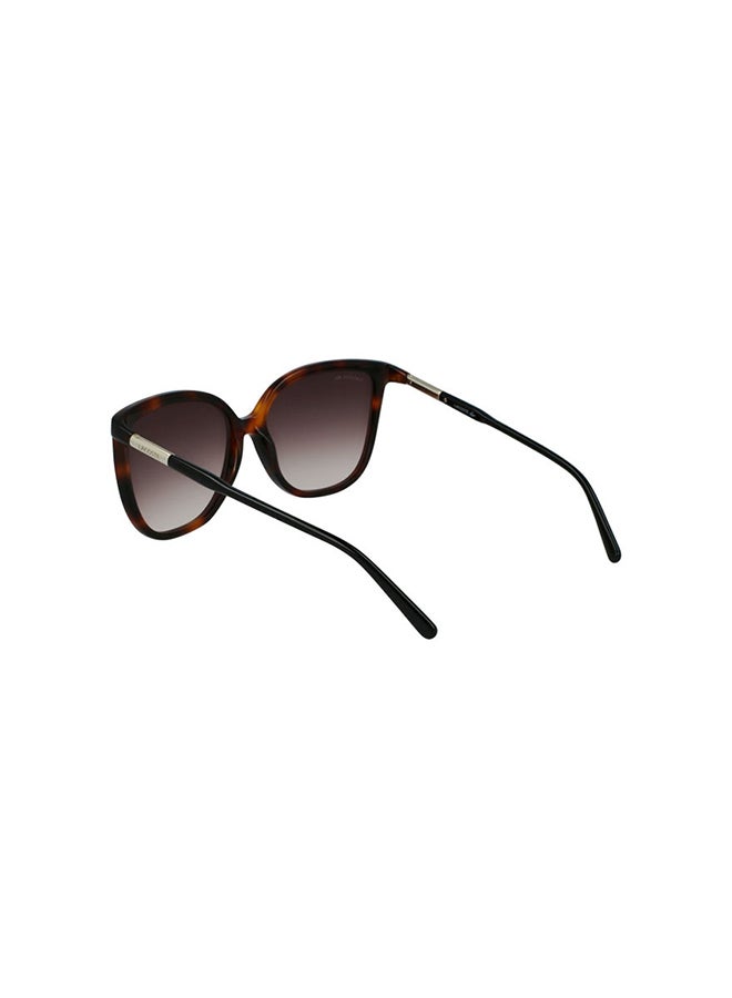 Women's UV Protection Butterfly Sunglasses - 886895518475 - Lens Size: 59 Mm
