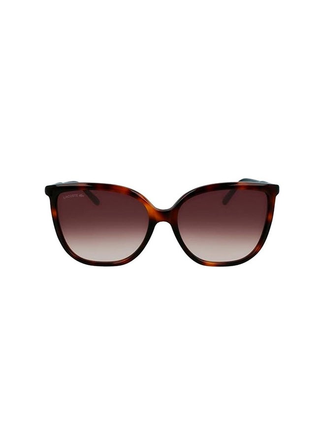 Women's UV Protection Butterfly Sunglasses - 886895518475 - Lens Size: 59 Mm