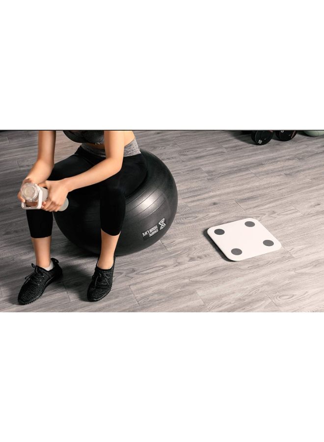 Body Fat Smart Scale