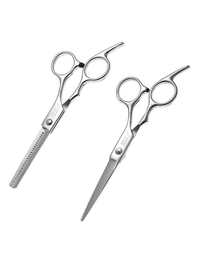 2-Piece Professional Hair Scissor Set Silver 19.7 x 9.7cm