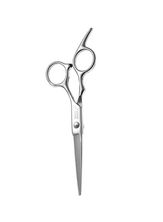 2-Piece Professional Hair Scissor Set Silver 19.7 x 9.7cm