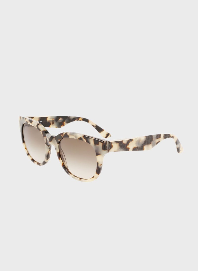 L971S Sunglasses