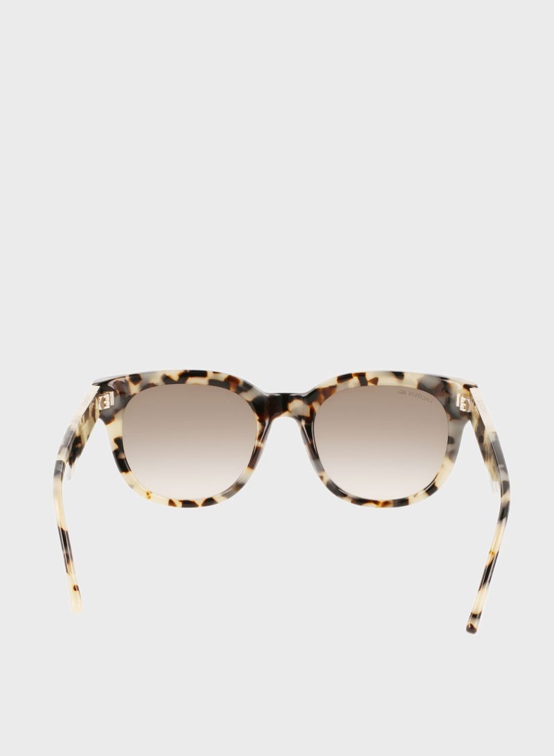 L971S Sunglasses