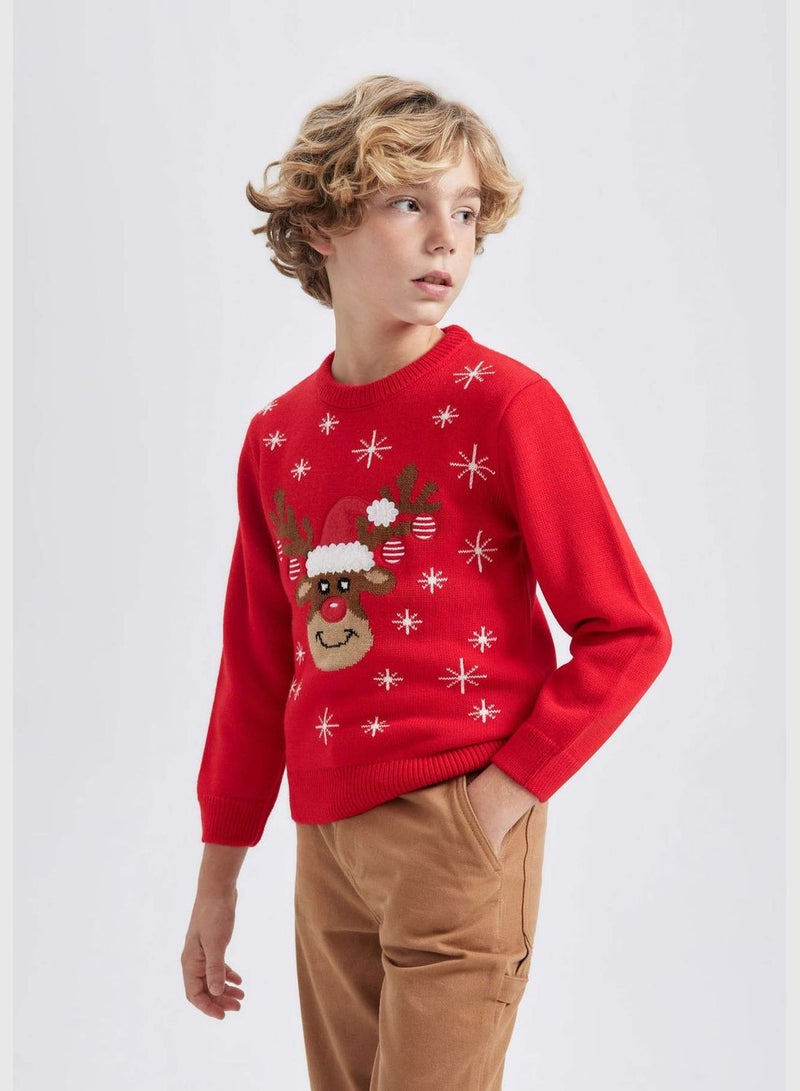 Boy Crew Neck Long Sleeve Tricot Pullover