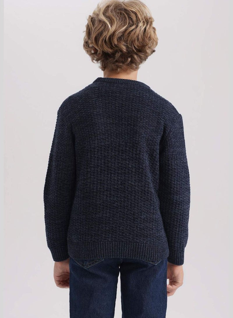 Boy Crew Neck Long Sleeve Tricot Pullover