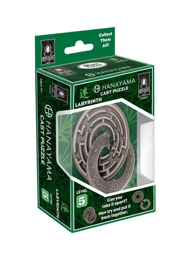 Labyrinth Hanayama Cast Metal Brain Teaser 30852