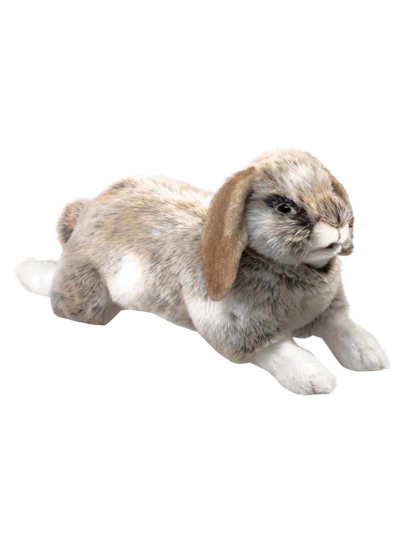 Holland Lop Rabbit  Shape Plush Toy
