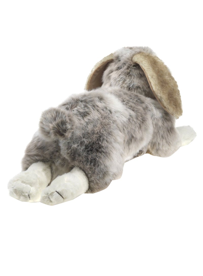 Holland Lop Rabbit  Shape Plush Toy