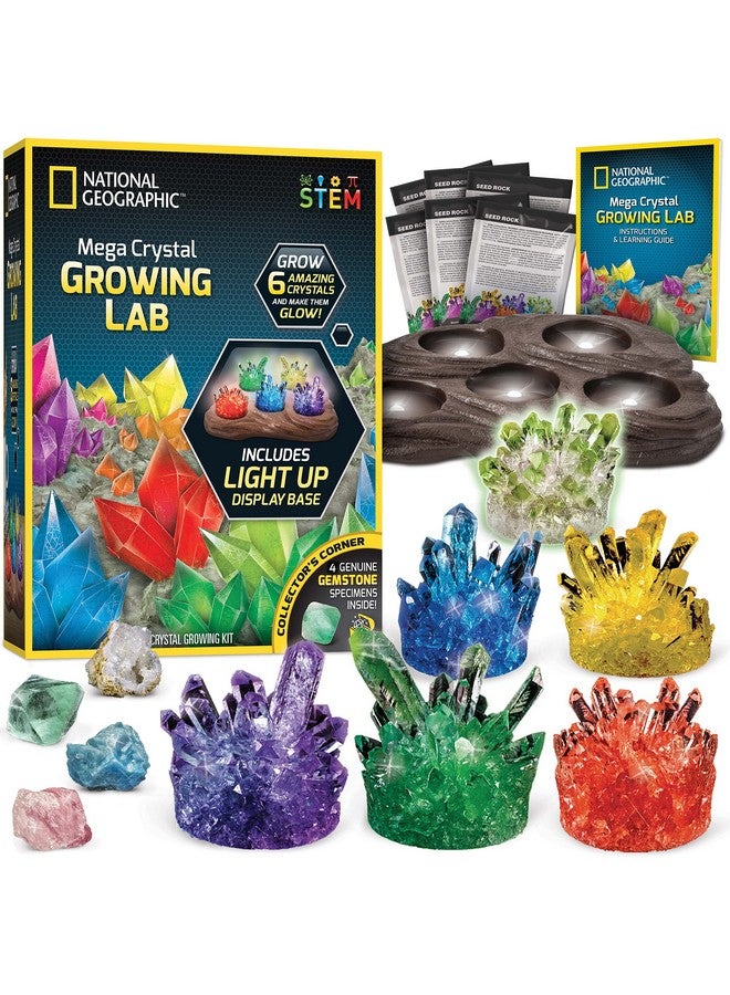 Mega Crystal Growing Kit For Kids Grow 6 Crystals With Light - Up Stand Science Gifts 812 Crystal Making Experiment Science