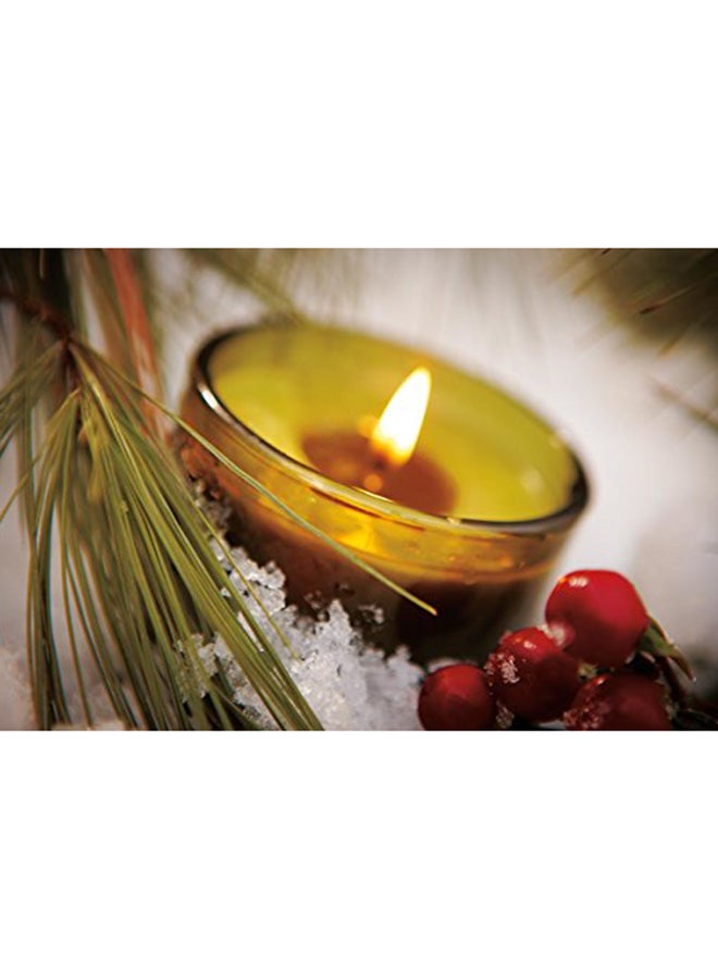 Frasier Fir Pine Needle Green Glass Jar Candle, 50 Hour Burn Time 6.5 Ounces