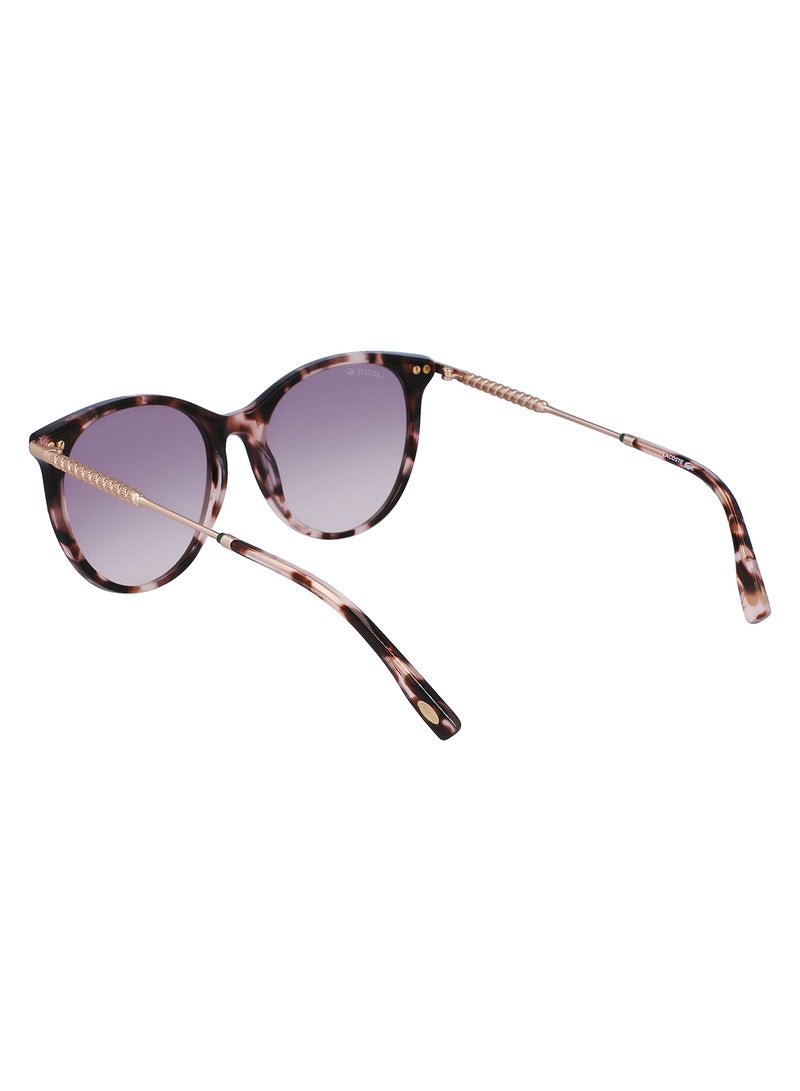 Women's Oval Sunglasses - L993S-610-5417 - Lens Size: 54 Mm