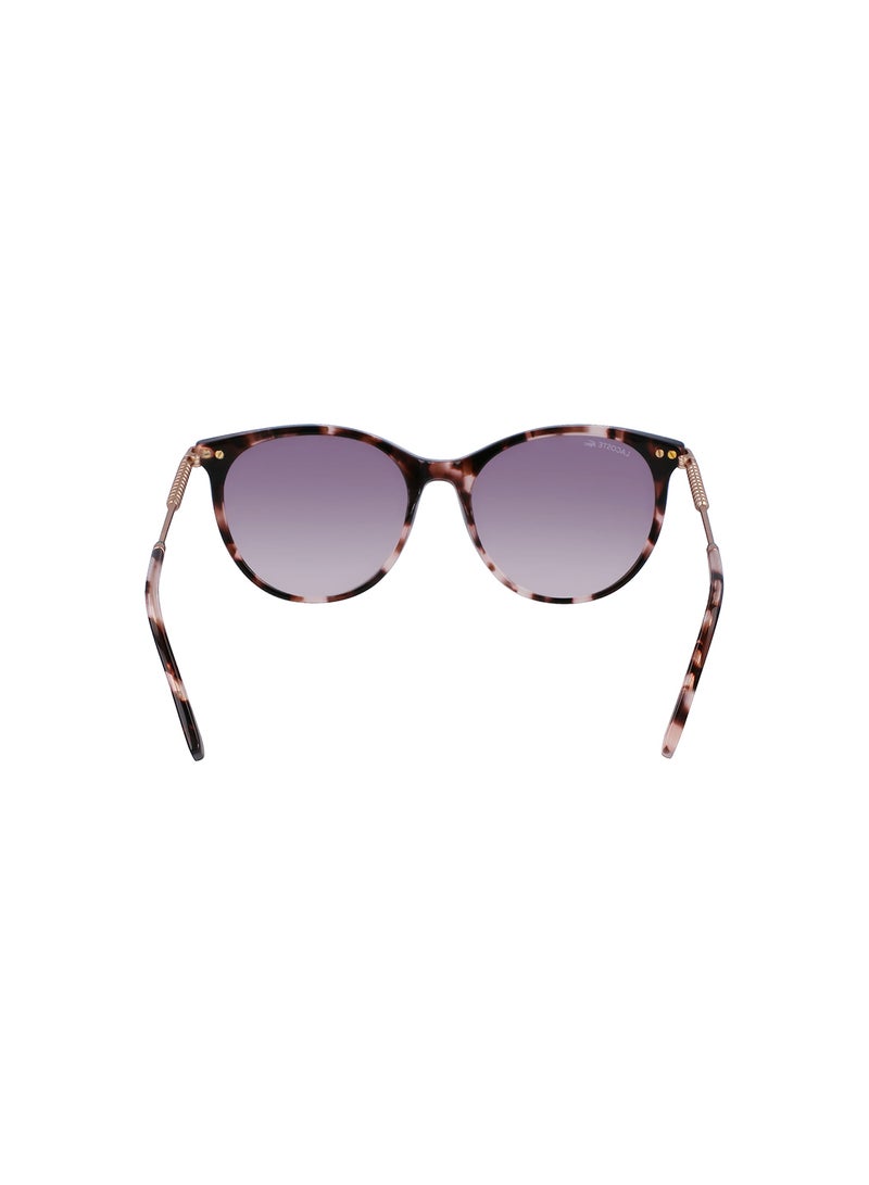 Women's Oval Sunglasses - L993S-610-5417 - Lens Size: 54 Mm