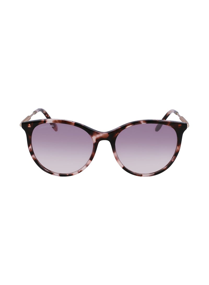 Women's Oval Sunglasses - L993S-610-5417 - Lens Size: 54 Mm