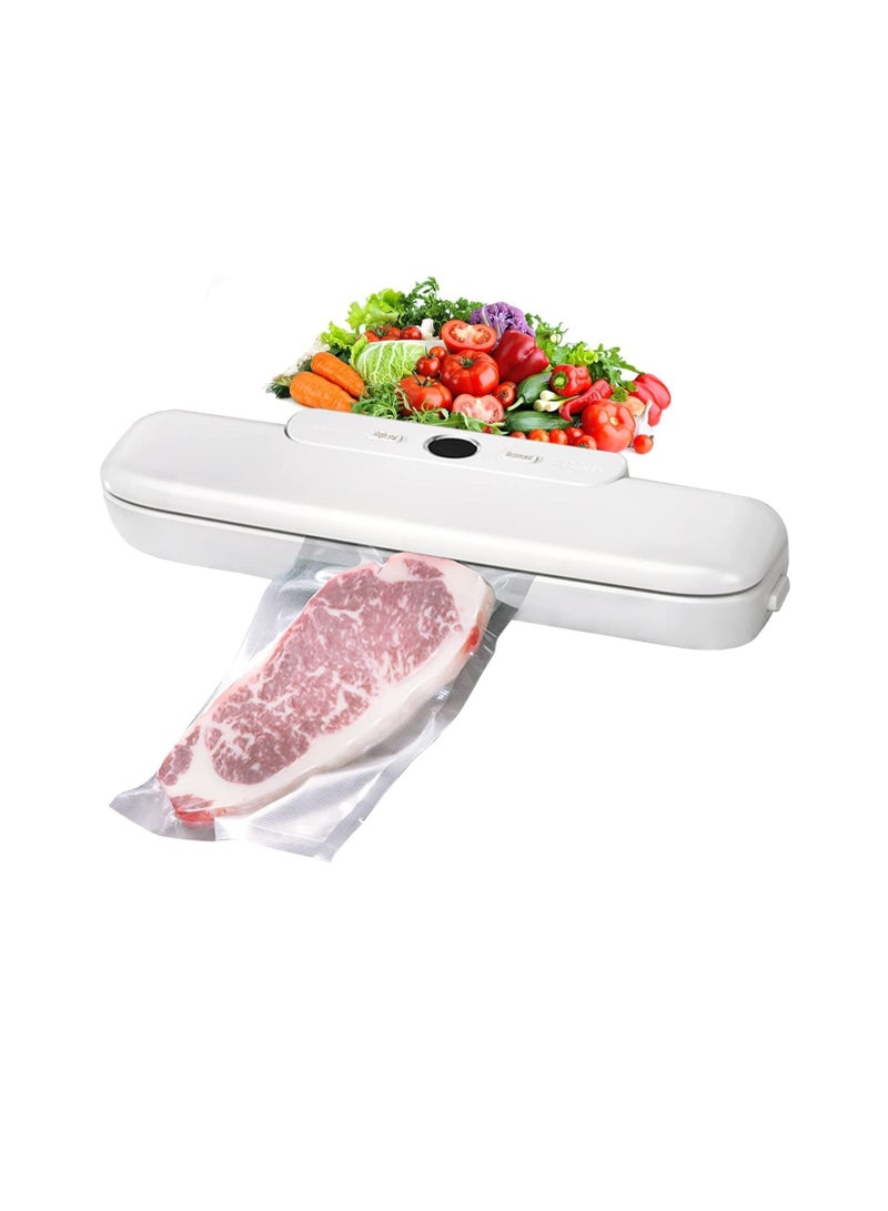 Vacuum Sealer Machine Automatic Food Air Sealing System for Preservation Storage Saver Dry Moist Modes
