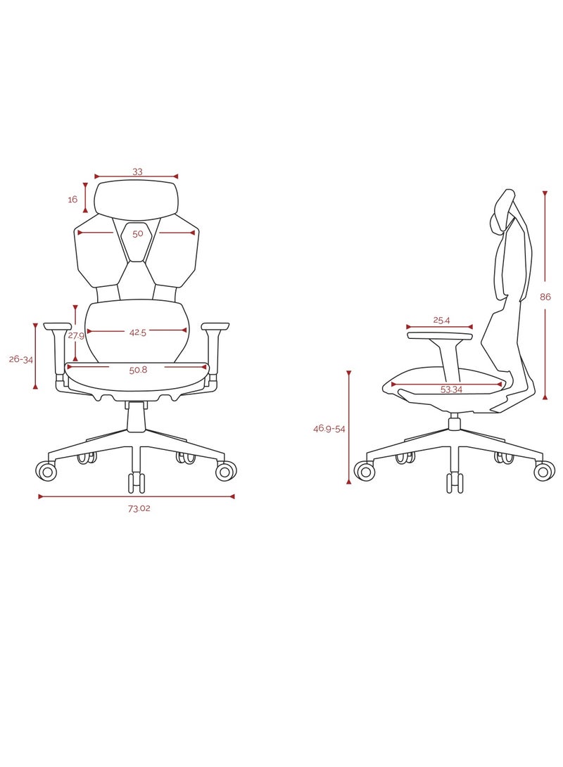 Astron Gaming Chair - Premium Ergonomic Gaming Chair with Multi-Functional Mechanism, Headphone Hanger, Carbon Fiber Textured Frame and Adaptive Shoulder & Lumber Support (Pink)