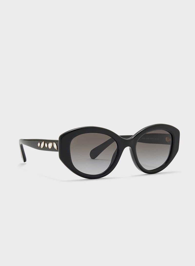 0Sk6005 Oval Shape Sunglasses