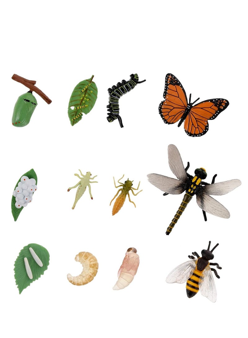 12PCS Insect Figurines Life Cycle of a Butterfly Dragonfly Bee, Safariology Growth Model Bug, Figures Educational Toy for Kids Toddlers