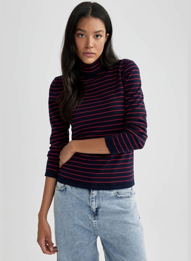 Regular Fit Turtleneck Pullover