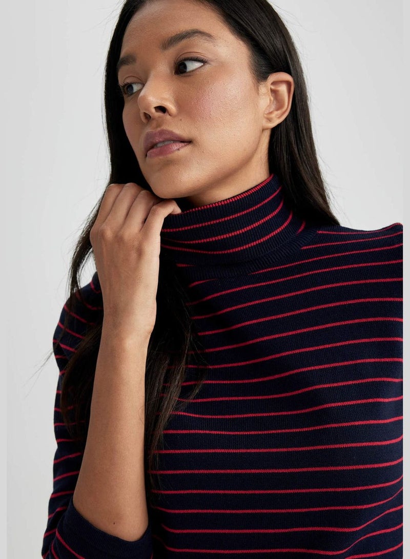 Regular Fit Turtleneck Pullover