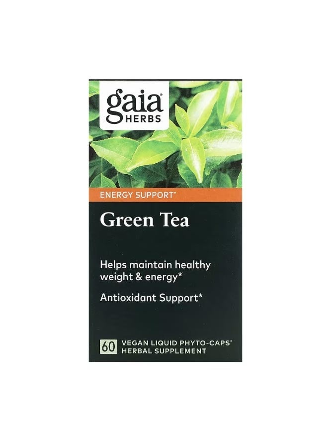 Green Tea 60 Vegan Liquid Phyto  Caps