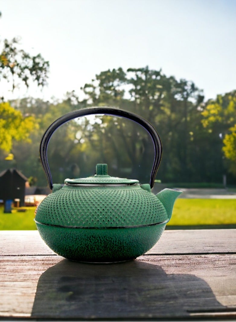 Durable Coated with Enamel Interior Cast Iron Teapot with Stainless Steel Infuser for Brewing Loose Tea Leaf 1.4 Dark Green