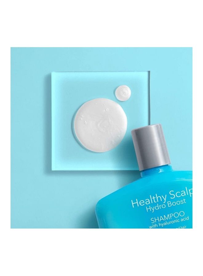 Moisturizing Healthy Scalp Hydro Boost Shampoo For Dry Hair And Scalp, With Hydrating Hyaluronic Acid, pH-Balanced, Paraben And Phthalate-Free Color-Safe