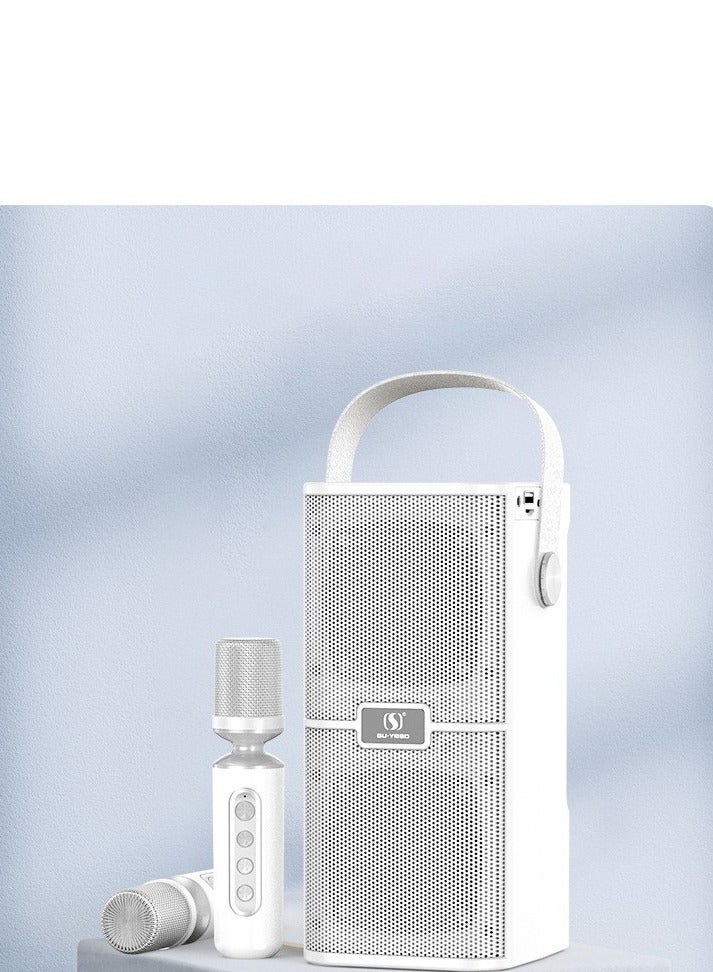 YS218 New High Power High Bluetooth Dual Speaker Microphone All-In-One Family Outdoor Party Karaoke TF Sound Bag