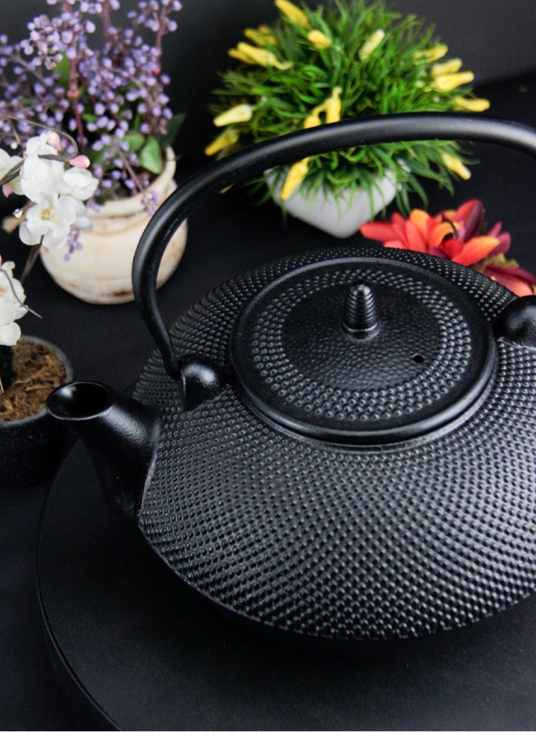 Durable Cast Iron Teapot With Stainless Steel Infuser for Loose Tea Coated with Enameled Interior (3L) Black