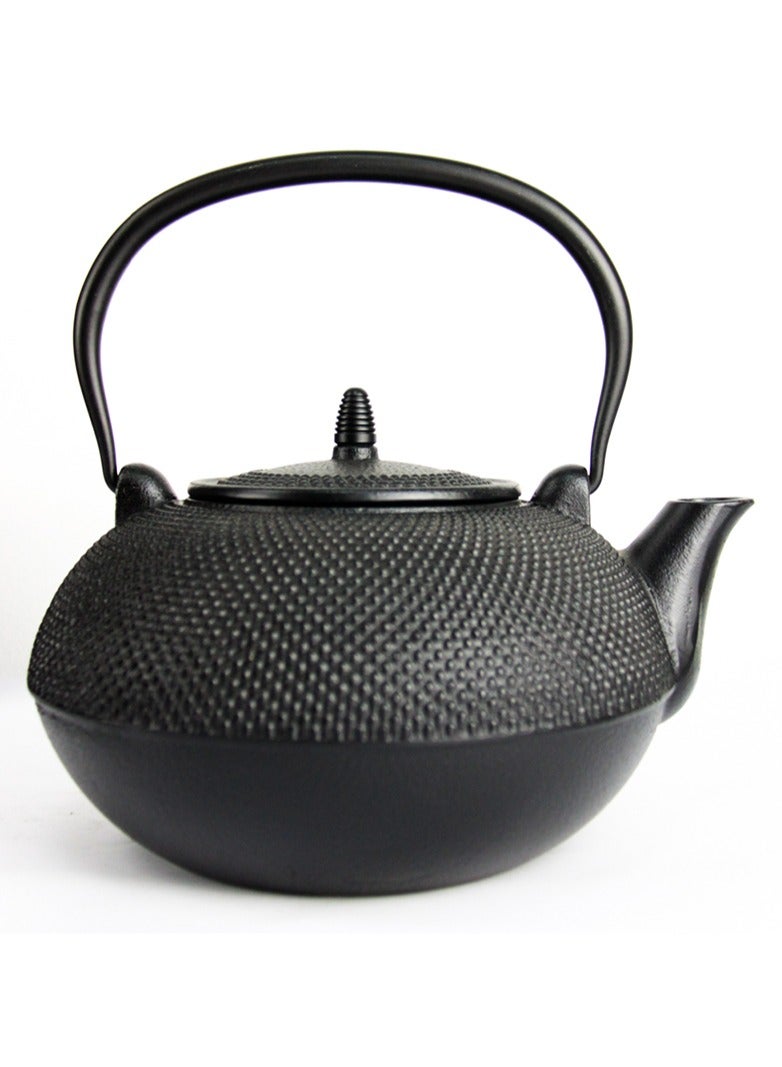 Durable Cast Iron Teapot With Stainless Steel Infuser for Loose Tea Coated with Enameled Interior (3L) Black