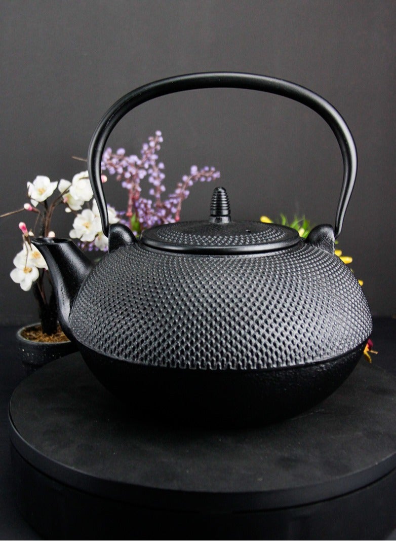 Durable Cast Iron Teapot With Stainless Steel Infuser for Loose Tea Coated with Enameled Interior (3L) Black