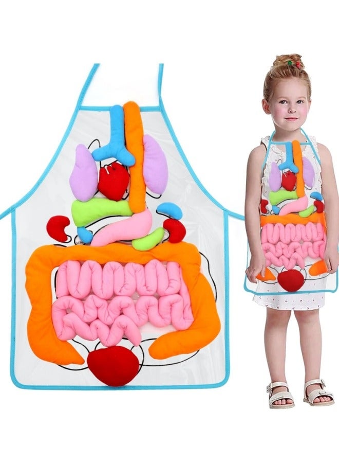 3D Organ Apron Anatomy Apron Human Body Organs Awareness Educational Toy for Home Preschool Teaching Aid, Transparent