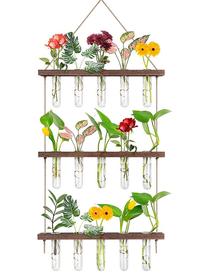 Wall Hanging Planter Terrarium with Wooden for Home Garden Office Decor Plant Plant Propagation Tubes 3 Tiered  for Plants 15 Bulb Glass Vase