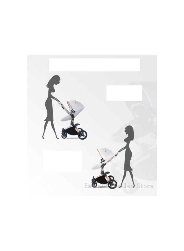 Luxury Baby Stroller 3 In 1 Fashion Carriage Gold Frame Pram